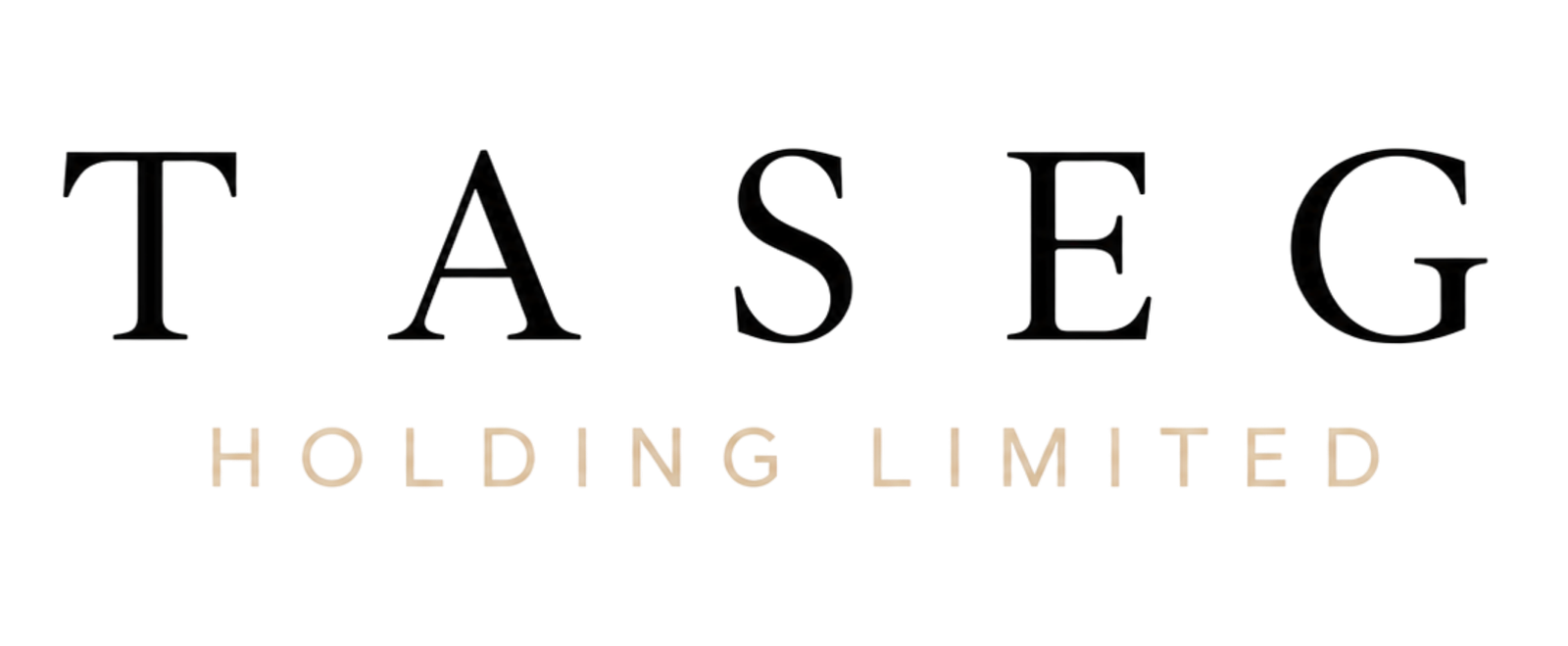 TASEG Holding Limited