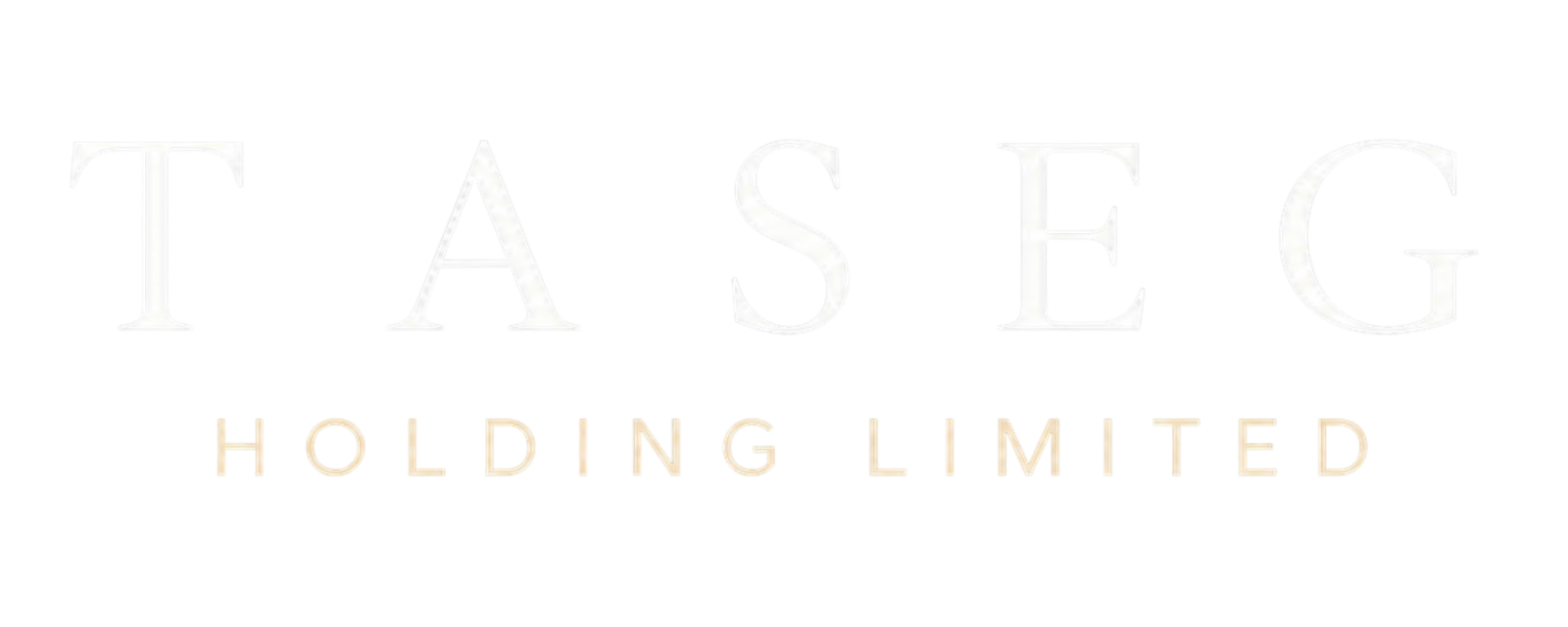 TASEG Holding Limited